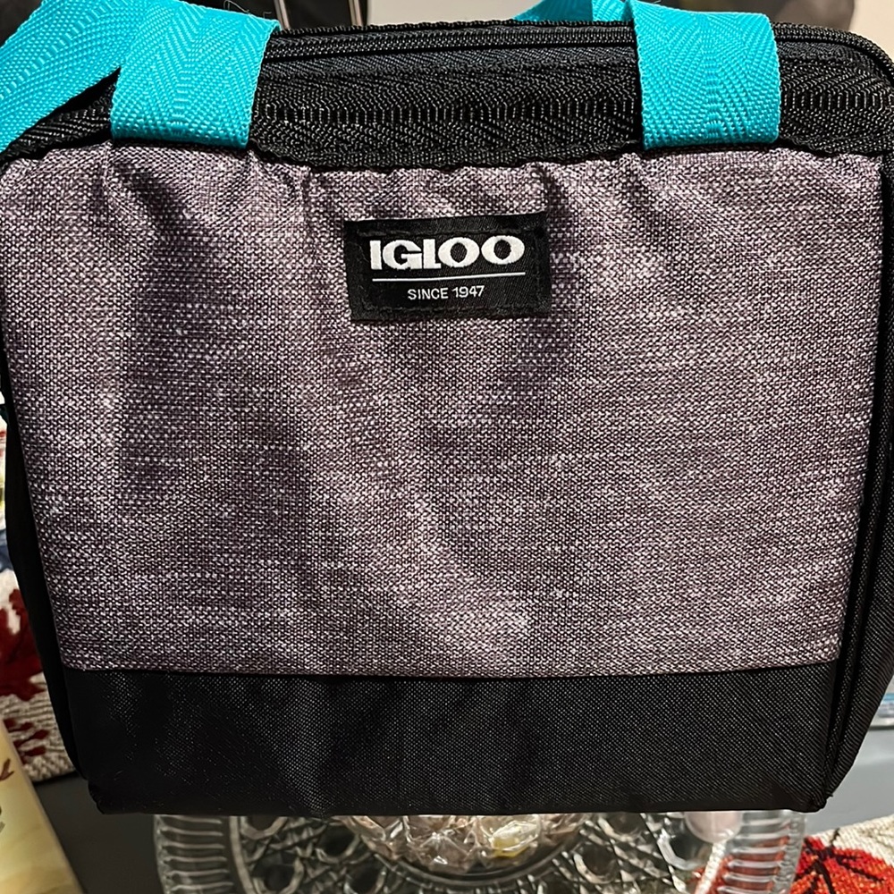 Igloo lunch bag/cooler